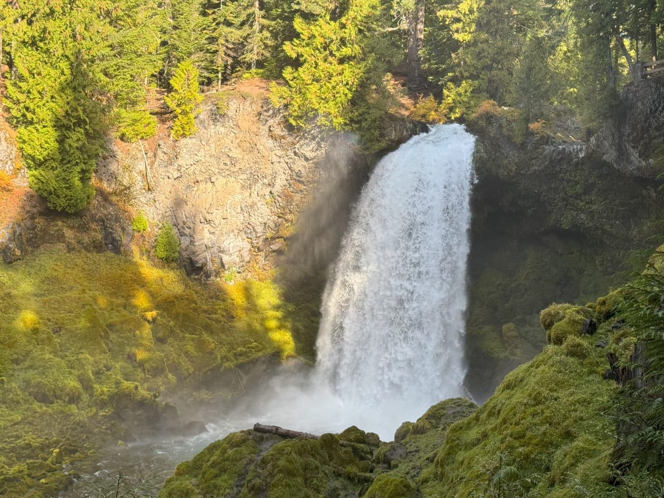 A cascading waterfall surrounded by lush green moss and trees.